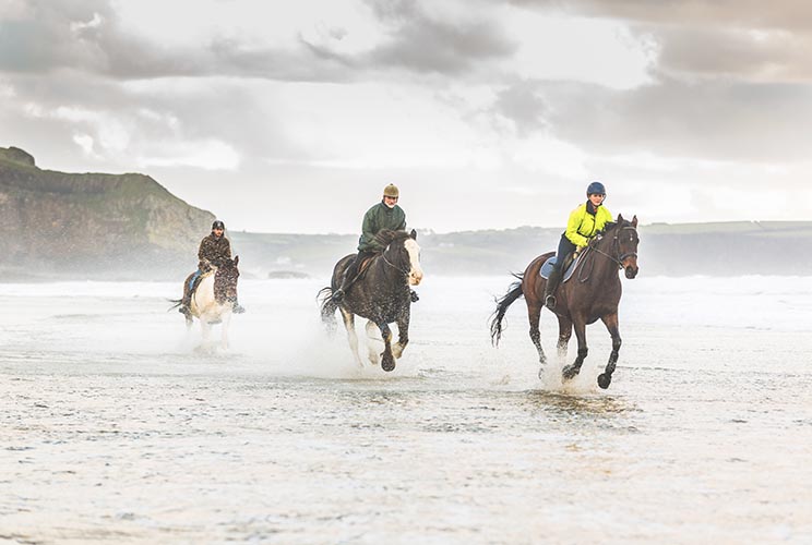 horse riding in Ireland