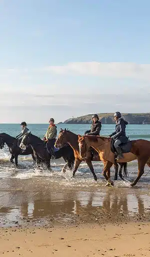 Four people riding horses along the shoreline, with the sea and a distant coastline visible under a clear sky—a perfect scene for Donegal group tours exploring sandy beaches and shallow waters together.