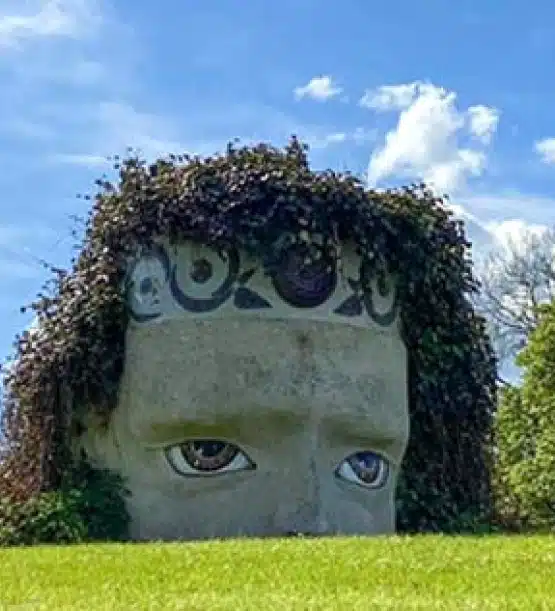 A large sculpture of a human face, partially buried in the ground with realistic eyes and ivy resembling hair, stands under a bright blue sky—a striking scene on any Southern Ireland highlights tour.
