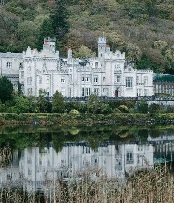 A large, ornate white castle with turrets stands in front of a wooded hillside, reflected clearly in the calm water of a lake, surrounded by lush greenery and reeds.