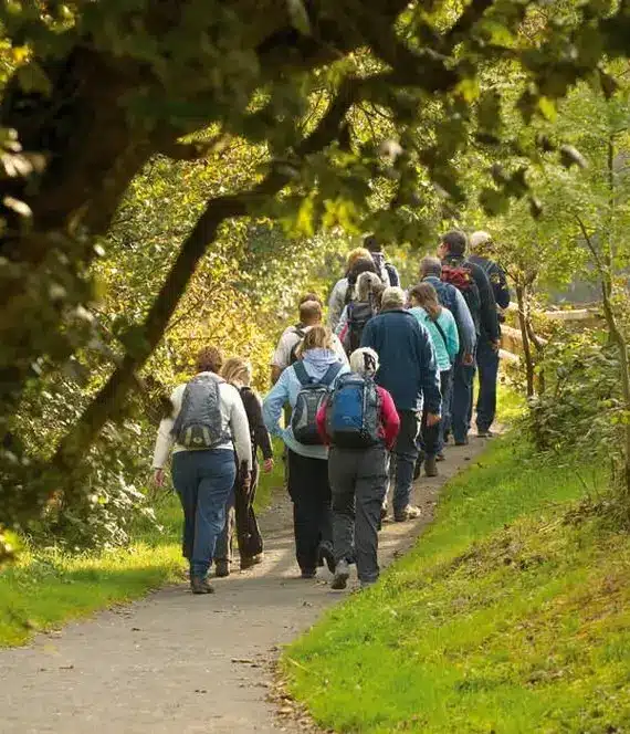 A group of people with rucksacks walk along a tree-lined path in a lush, green park on a sunny day.