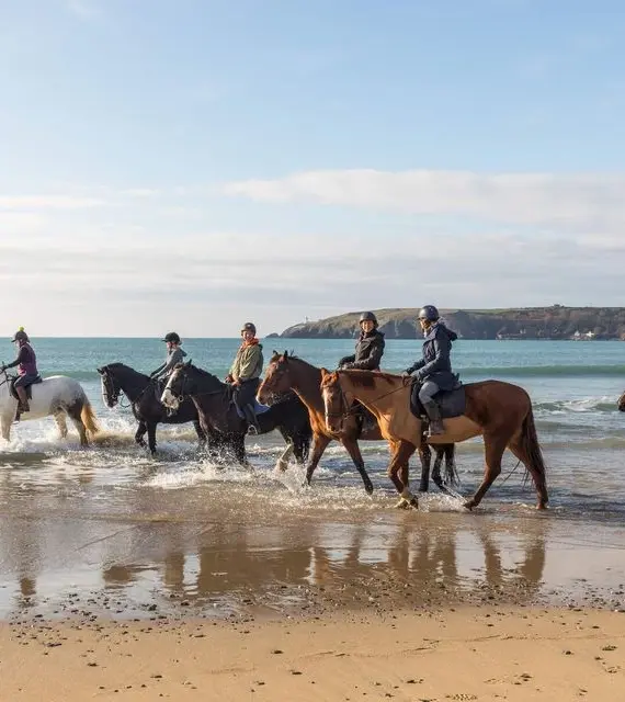 Five people riding horses along the shoreline, some horses walking in shallow water, with a calm sea and distant hills in the background under a partly cloudy sky.