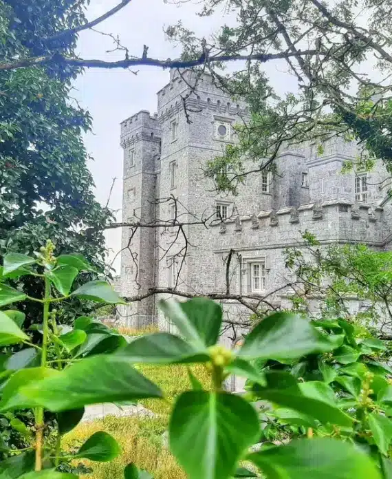 A stone castle with turrets and crenellated walls is partially visible through lush green foliage and trees, creating a picturesque and secluded scene.