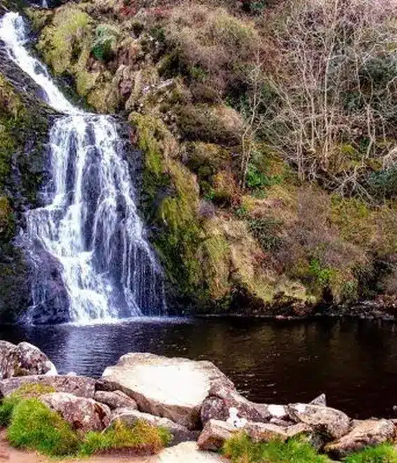 A small waterfall cascades down mossy rocks into a dark, calm pool surrounded by greenery and scattered stones, with some leafless trees visible in the background.