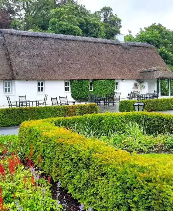 A traditional white cottage with a thatched roof sits behind neatly trimmed hedges and flowerbeds, surrounded by green trees and outdoor metal tables and chairs on a rainy day.